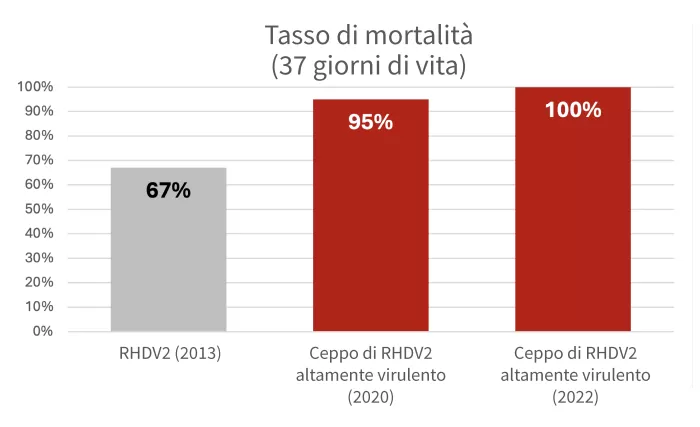 rhdv2 mortalita